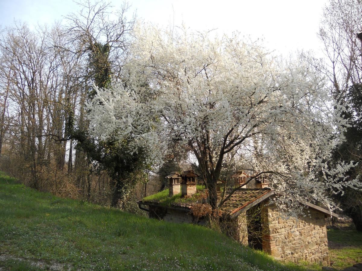 Villa La Cartiera Dei Benandanti Monghidoro Exterior foto