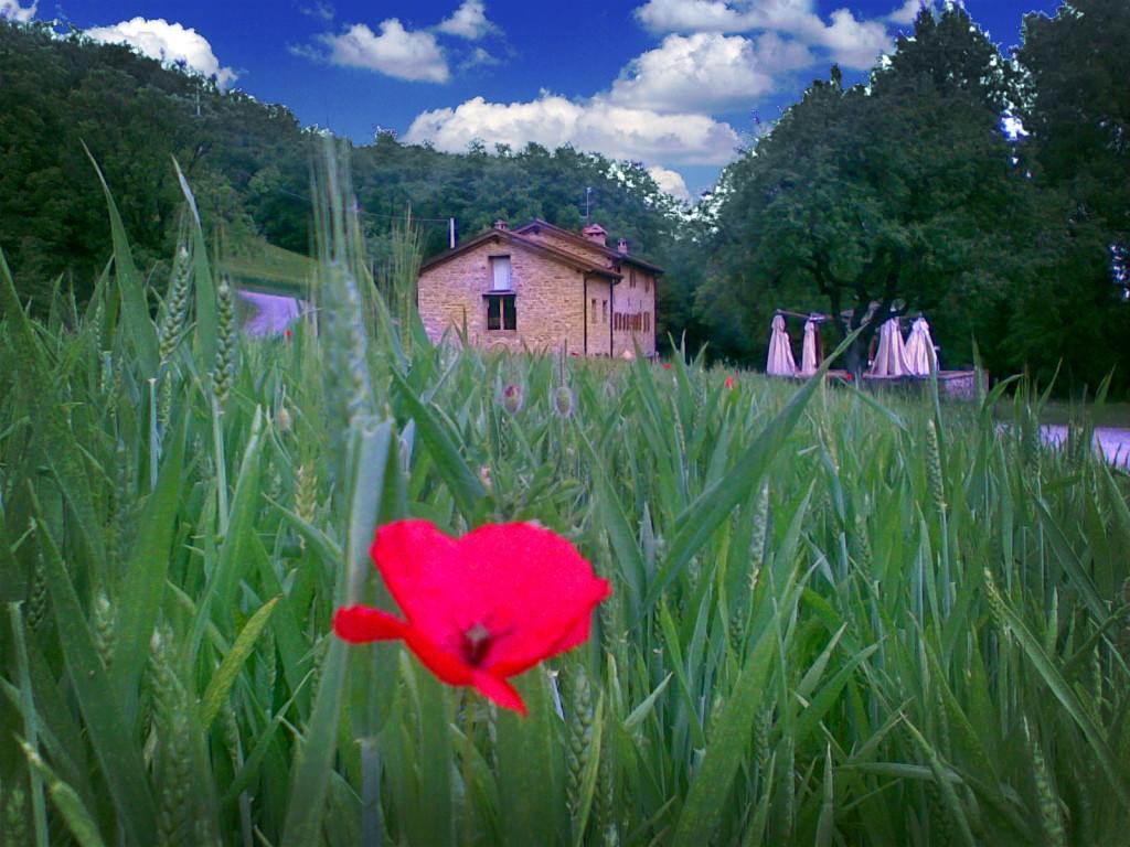 Villa La Cartiera Dei Benandanti Monghidoro Exterior foto